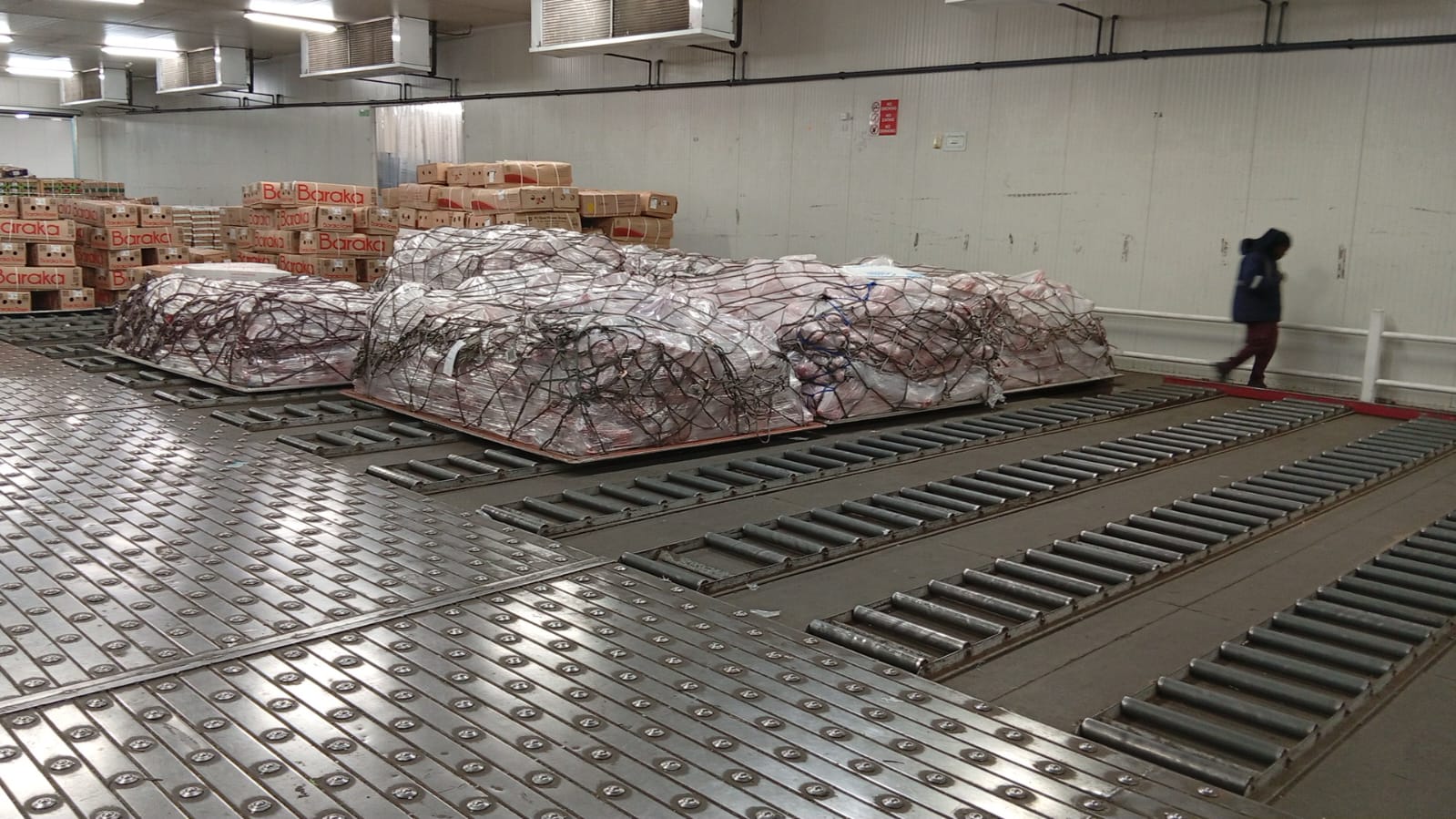 Beef Cuts & Carcasses